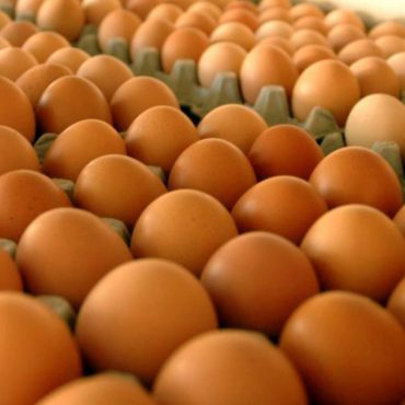 HUEVOS GALLINA FELIZ