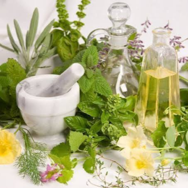 Plantas medicinales